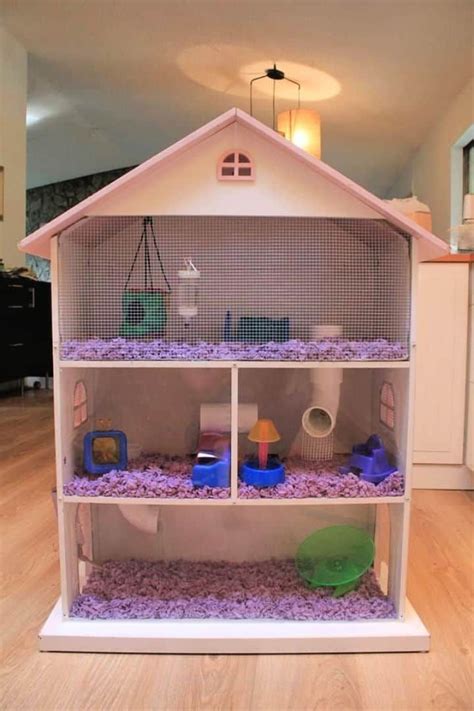 20 Homemade DIY Guinea Pig Cage Ideas | Diy guinea pig cage, Guinea pig cage, Guinea pig house