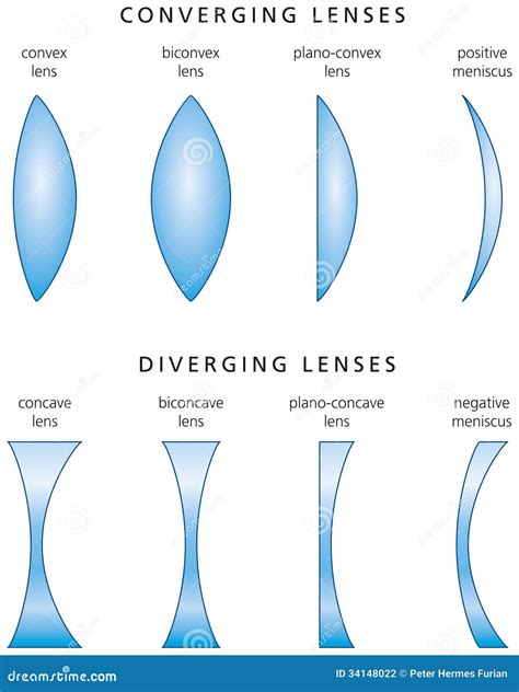 Types and Classification of Simple Lenses Stock Vector - Illustration of glass, goggles: 34148022