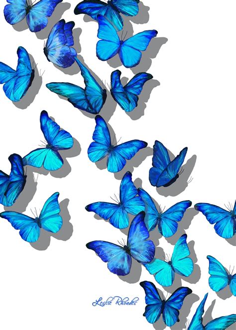 Aesthetic Blue Butterfly Wallpapers - Wallpaper Cave