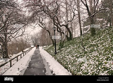 Brooklyn botanic garden winter Stock Photo - Alamy