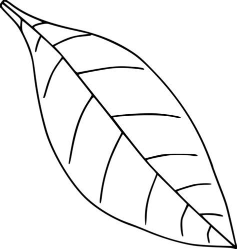 Simple Leaf Drawing | Free download on ClipArtMag