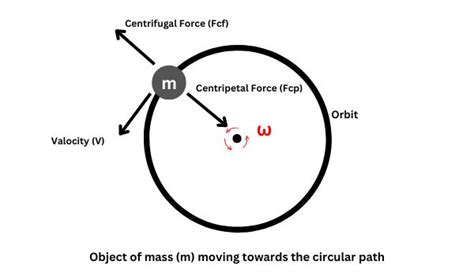 Difference Between Centrifugal and Centripetal Forces