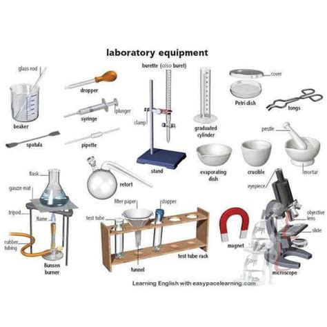 Science Laboratory Equipment : 20 Common Equipments For School Lab Science & Laboratory ...