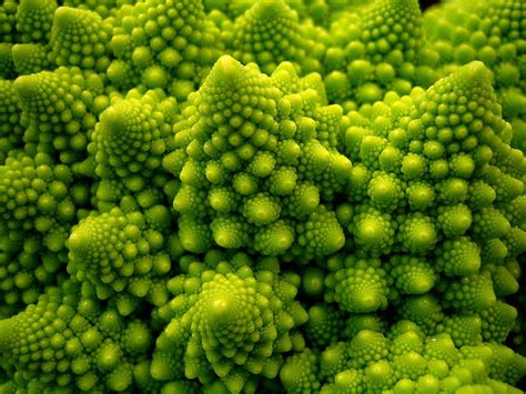 Earth’s Most Stunning Natural Fractal Patterns | WIRED