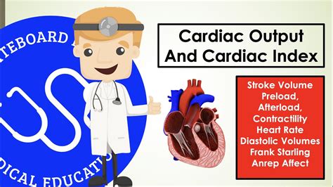 Cardiac Output and Cardiac Index - Preload, Afterload, Contractility, And More - Explained ...