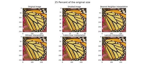 GitHub - YasinEnigma/Image_Interpolation: Image interpolation implementation using pure python ...