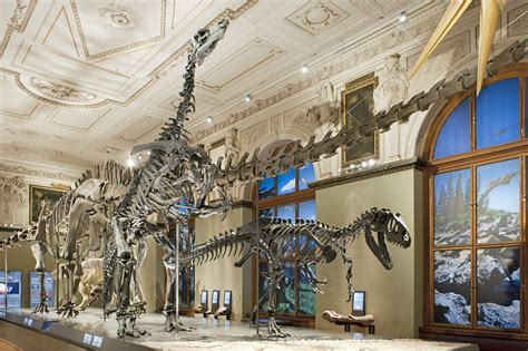 LED light: Dinosaur Hall at the Museum of Natural History Vienna - Culture - Projects