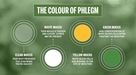 what does the color of phlegm mean phlegm color chart hereqfile - pin by patricia palomino ...