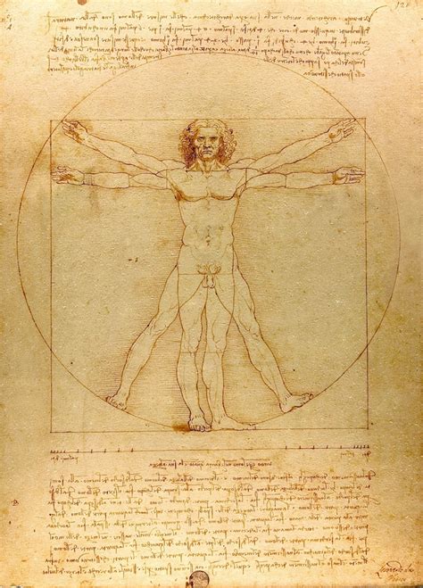 The Significance of Leonard da Vinci's Famous "Vitruvian Man" Drawing