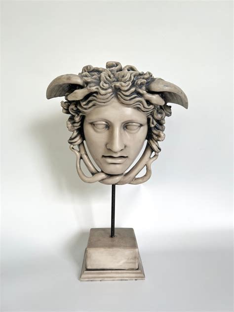 Medusa Head