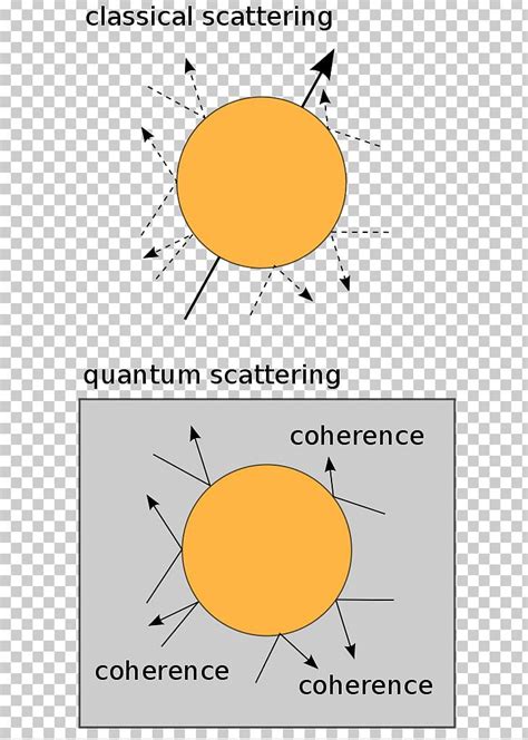 Quantum Measurements And Decoherence: Models And Phenomenology Quantum Mechanics Quantum ...