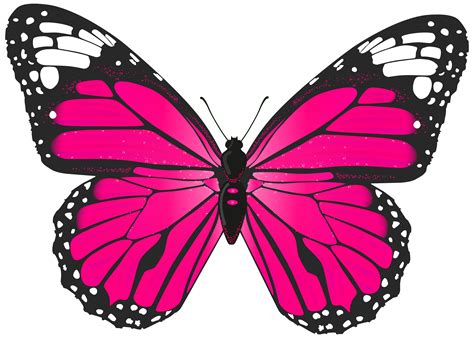 butterfly clipart png 20 free Cliparts | Download images on Clipground 2024