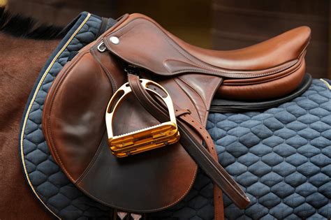 5 Best English Saddle Brands on the Market - Horse Rookie