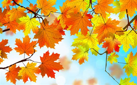 2880x1800 Autumn Leaves HD Macbook Pro Retina HD 4k Wallpapers, Images, Backgrounds, Photos and ...