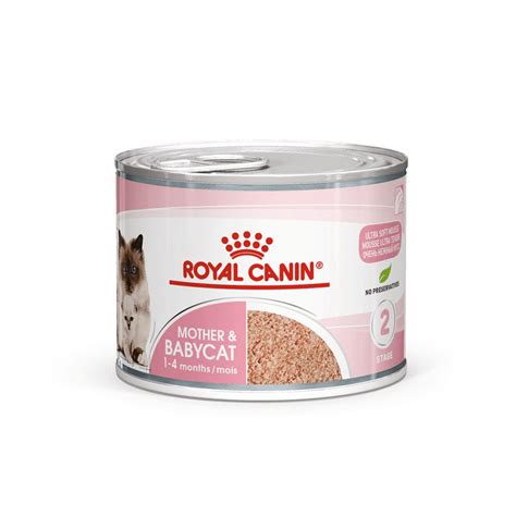 Buy Royal Canin Mother And Baby Wet Cat Food Cans Online | Better Prices At Pet Circle