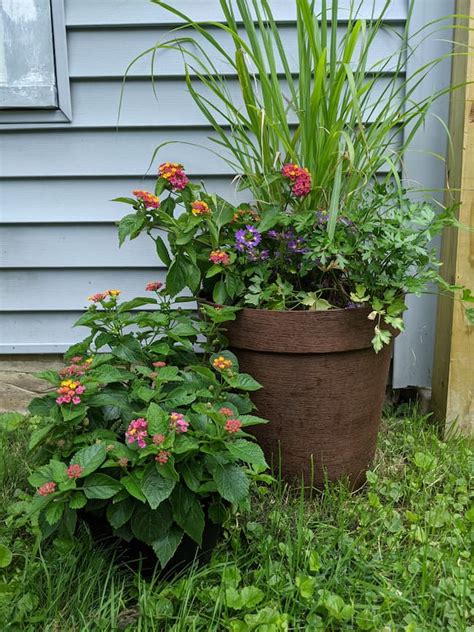 How to Spray Paint Plastic Planters in 7 Easy Steps