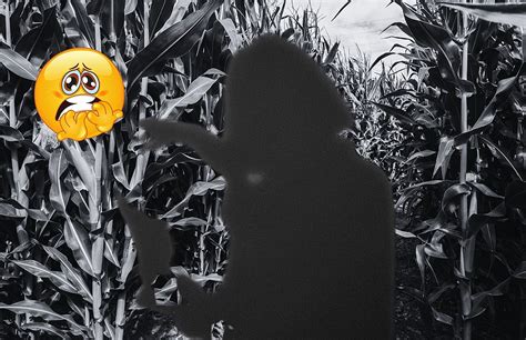 The World's Creepiest Corn Maze is Only 3 Hours Away From GR