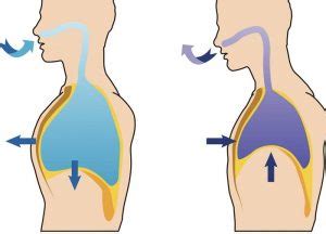 Breathing of Cheyne Stokes: Key Points and Causes - Scope Heal