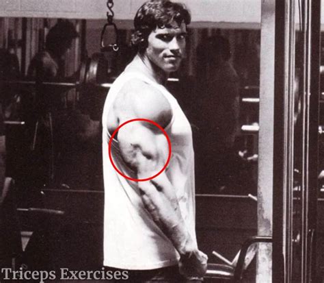 Arnold Schwarzenegger’s Arm Workout – Arnold Schwarzeneggers