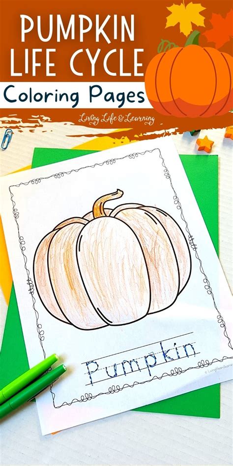 Pumpkin Life Cycle Coloring Pages