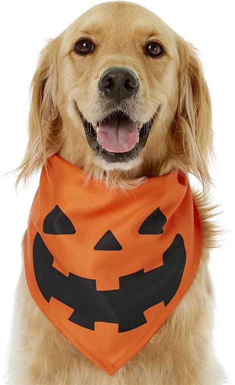 Easy Dog Costumes | 15 Simple Costumes for Dogs