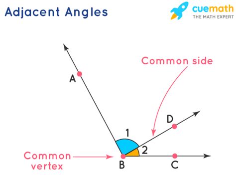 Adjacent Angles - Definition, Meaning, Properties, Examples