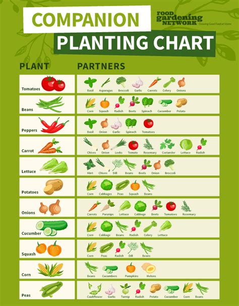 Companion Planting Chart Printable