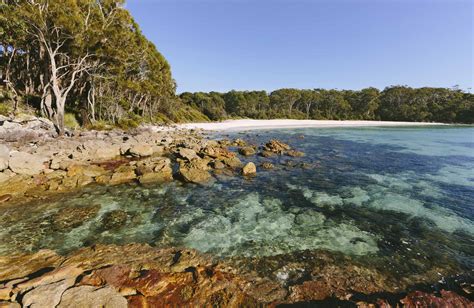 Jervis Bay National Park | NSW National Parks