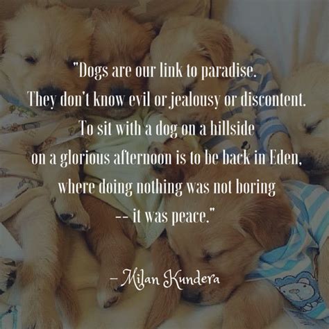 Quotes About Dogs Being Family - Henrie Wilhelmina