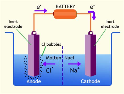 Electrolytic cells structure and importance, the difference between Electrolytic cell and ...