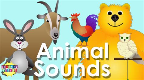 Farm Animal Sounds Super Simple Songs