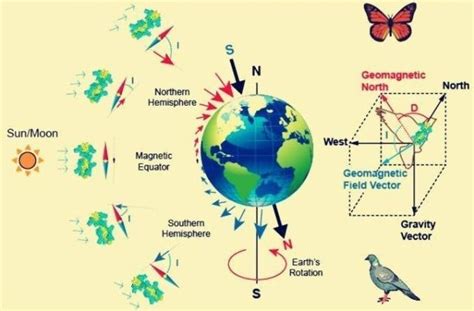 10 Examples Of Quantum Physics In Everyday Life – StudiousGuy