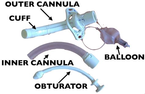 Tracheostomy Tube Diagram