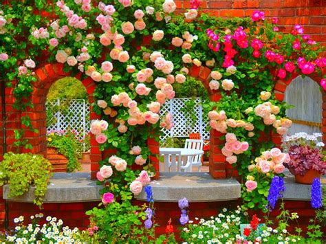 Flower Garden Background Hd Wallpaper | Best Flower Site