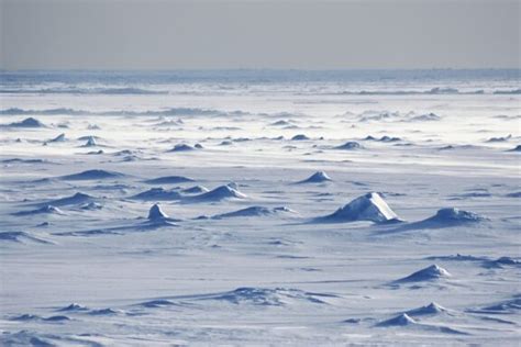 Is Antarctica a Desert? Unraveling the Secrets of the World's Largest Polar Desert | Mappr