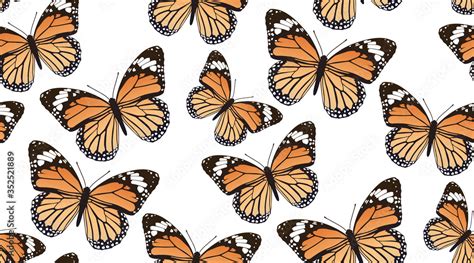 Monarch Butterfly Wallpaper