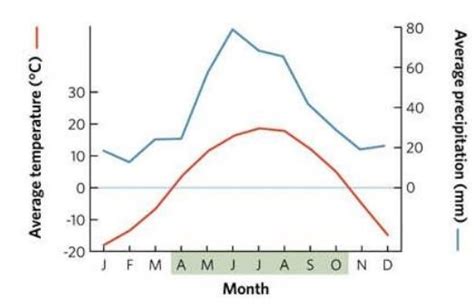 Temperate Grassland Climate Graph