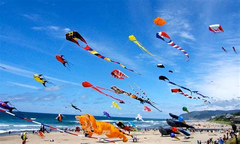 Lifestyle Events In NewDelhi,Delhi|Kite Flying Festival in Delhi-IndiaEve