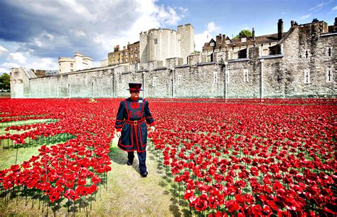 Tower of London poppies mark centenary of second world war | FT Photo Diary