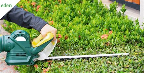 Best Gas Hedge Trimmers of 2022 | Eden Lawn Care and Snow Removal