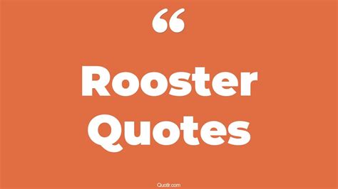 100 Successful Rooster Quotes (fighting rooster, top gun maverick rooster, good morning rooster)