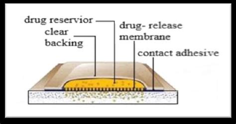 Diagram showing the different layers of transdermal patch with... | Download Scientific Diagram