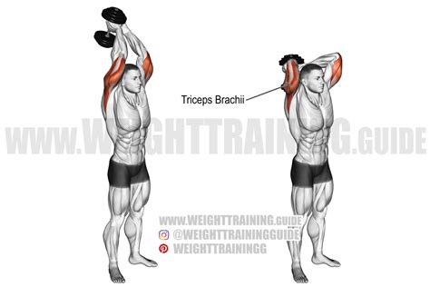 Standing dumbbell overhead triceps extension exercise instructions