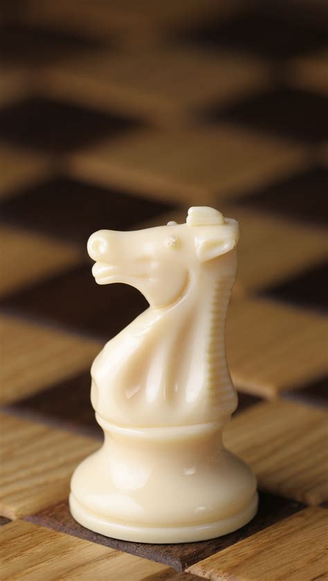 File:Chess piece - White knight.JPG - Wikipedia, the free encyclopedia