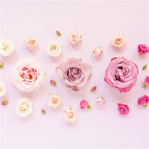 Free 2019 floral desktop wallpapers Archives - JustineCelina