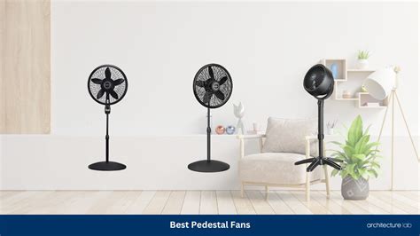 10 Best Pedestal Fans | Reviews + Guide