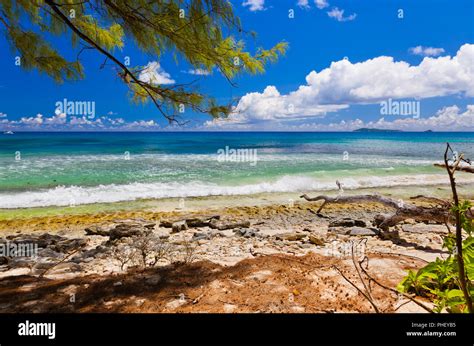 Tropical beach at Seychelles Stock Photo - Alamy