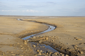 Arroyo (wash) landform