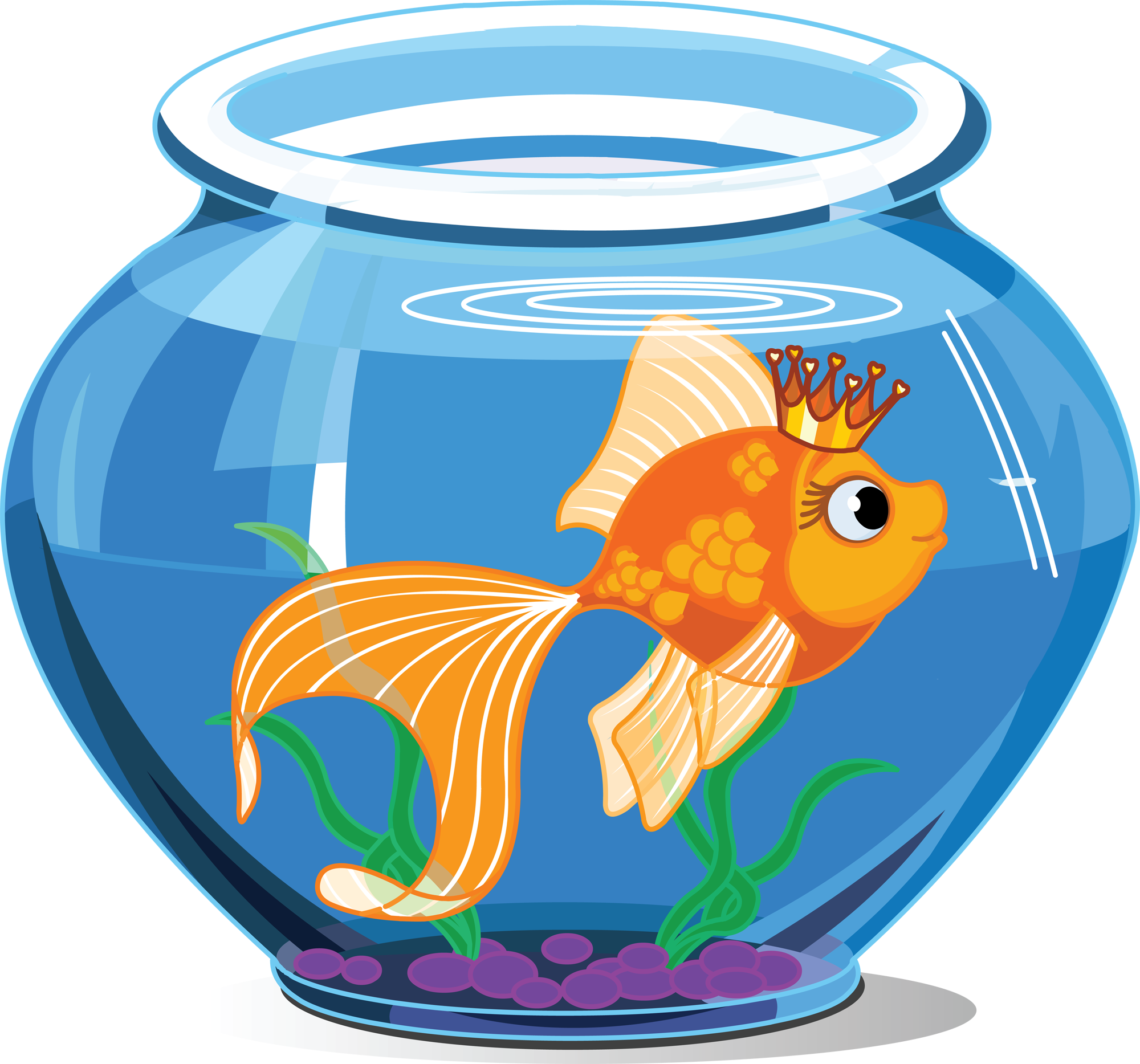 pet fish clipart - pet fish clipart 2017 - Fish Tank Maintenance