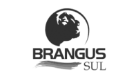 Brangus Núcleo Sul